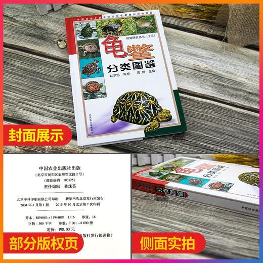龟鳖分类图鉴【 中国农业出版社官方正版】 商品图1
