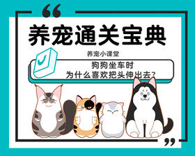 狗狗坐车时，为什么喜欢把头伸出去？