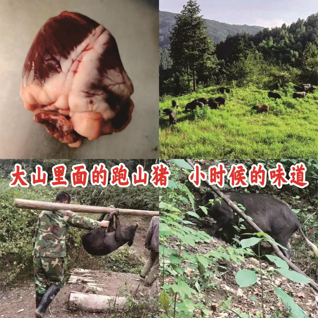 跑山黑猪，猪心，1个