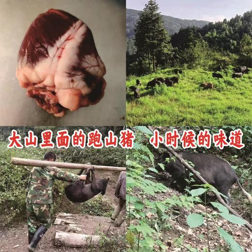 跑山黑猪，猪心，1个 商品图0