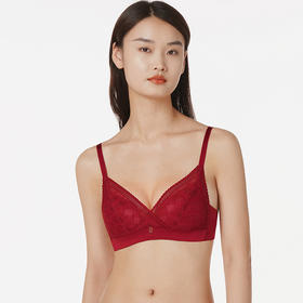 都市丽人时尚美搭A杯常规内衣蕾丝中厚三角杯文胸三排扣无钢圈LB21G4