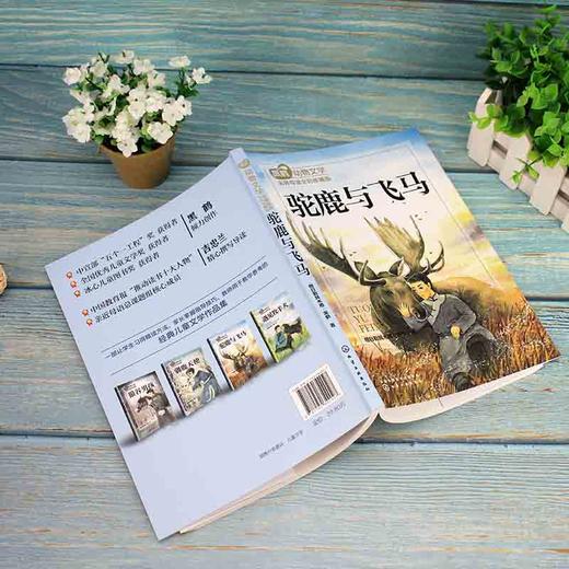 (仓发) 黑鹤动物文学名师导读：全彩珍藏版--驼鹿与飞马/化学工业出版社/格日勒其木格·黑鹤/9787122342027 商品图2