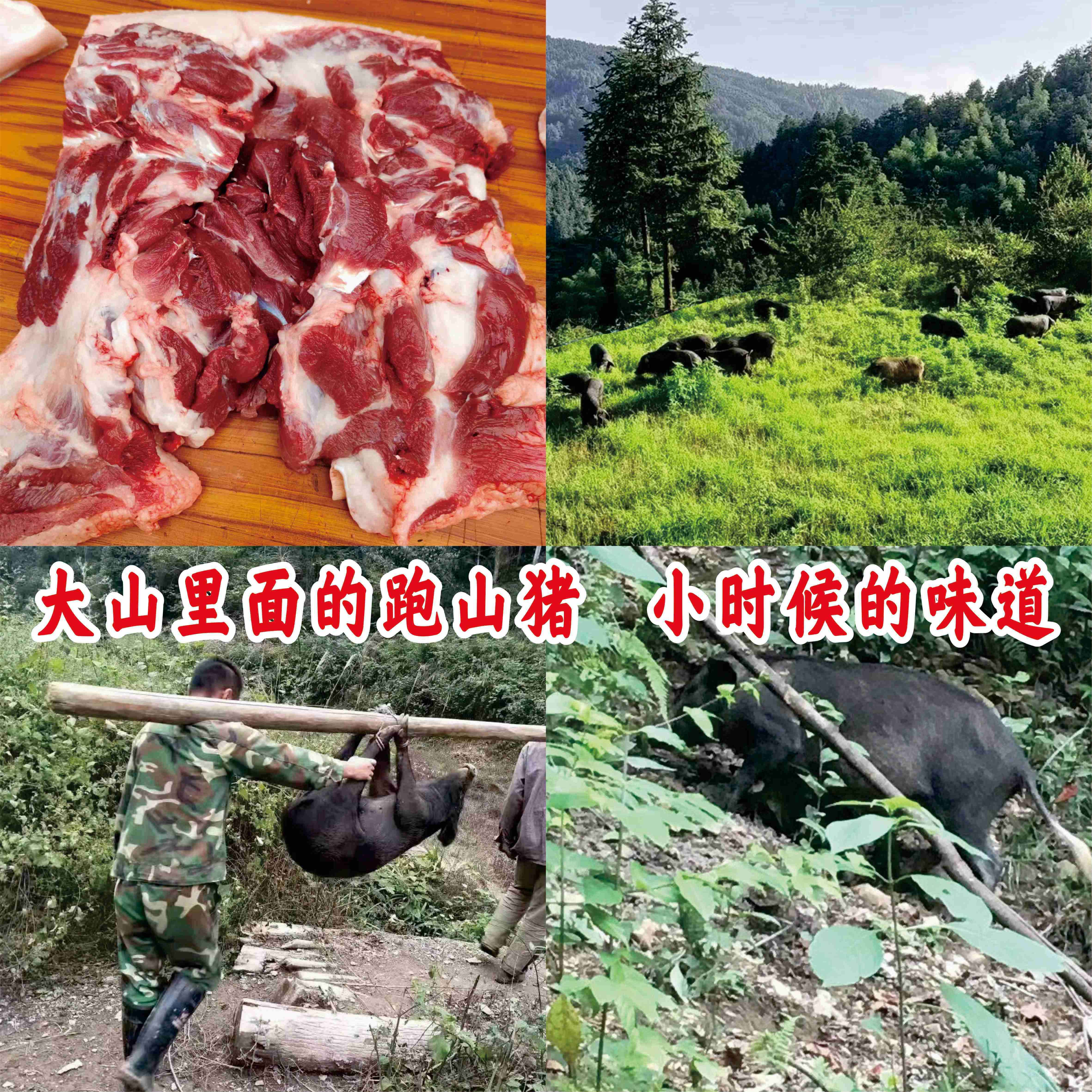 跑山黑猪，前腿肉 ，1份3斤