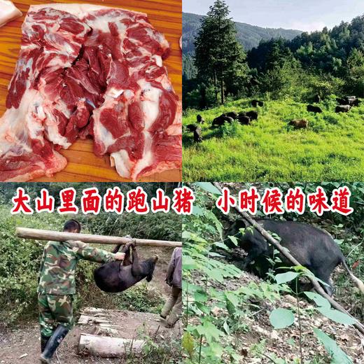 跑山黑猪，前腿肉 ，1份3斤 商品图0