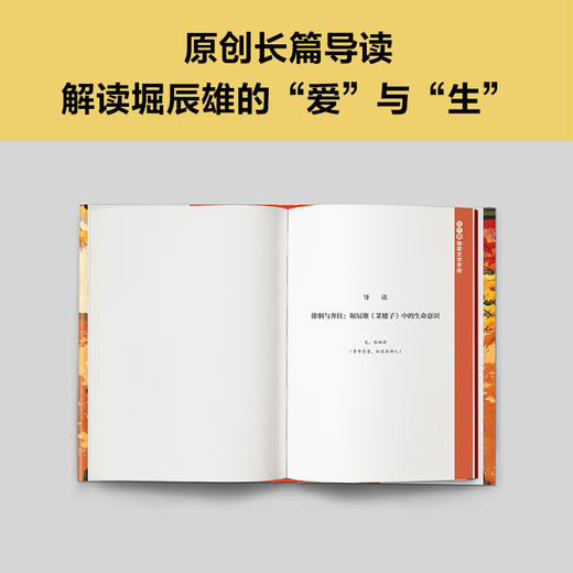 菜穗子 商品图6