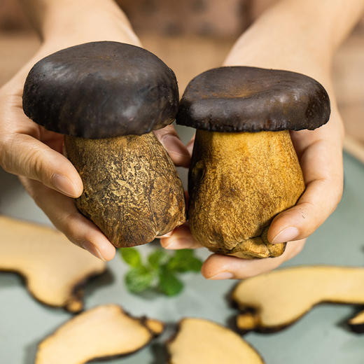 云南黑牛肝菌 | 来自高原自然生态 新鲜采摘 个大饱满肉质肥厚 脆嫩爽口有嚼劲 商品图2