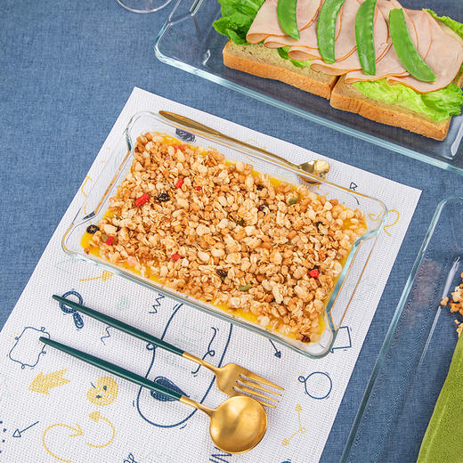 【笑麻麻荟&菲内克斯】钢化玻璃长方形烤鱼盘微波炉烤箱蒸鱼盘透明餐盘家用商用装鱼盘子A 商品图2