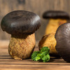 云南黑牛肝菌 | 来自高原自然生态 新鲜采摘 个大饱满肉质肥厚 脆嫩爽口有嚼劲 商品缩略图4