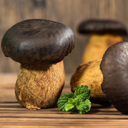 云南黑牛肝菌 | 来自高原自然生态 新鲜采摘 个大饱满肉质肥厚 脆嫩爽口有嚼劲 商品图4