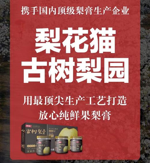 秋冬必备！润嗓清肺！梨花猫【3瓶装=48枚梨】缓解咽嗓不适，家家必备，成分表只有砀山梨，一瓶梨膏要16枚酥梨！30斤梨熬出一斤梨膏，纯梨熬制不加一滴水！送礼礼物 商品图7