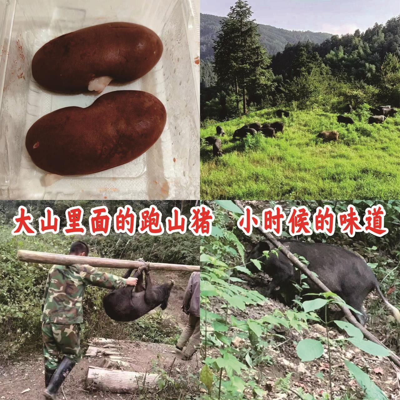 跑山黑猪，猪腰子，1对