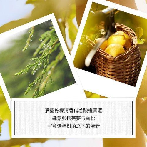 Maison margiela梅森马吉拉全系列中性香水10ml EDT淡香水 UNDER柠檬树 商品图3