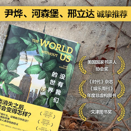 没有我们的世界 商品图2