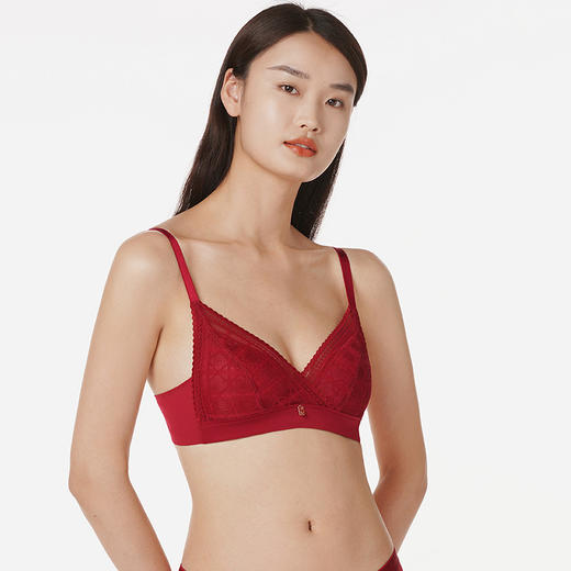都市丽人时尚美搭A杯常规内衣蕾丝中厚三角杯文胸三排扣无钢圈LB21G4 商品图1