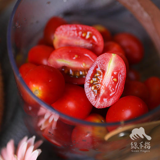 生态圣女果 | 合作生产* Eco-cherry tomato ｜Coproducted 商品图3