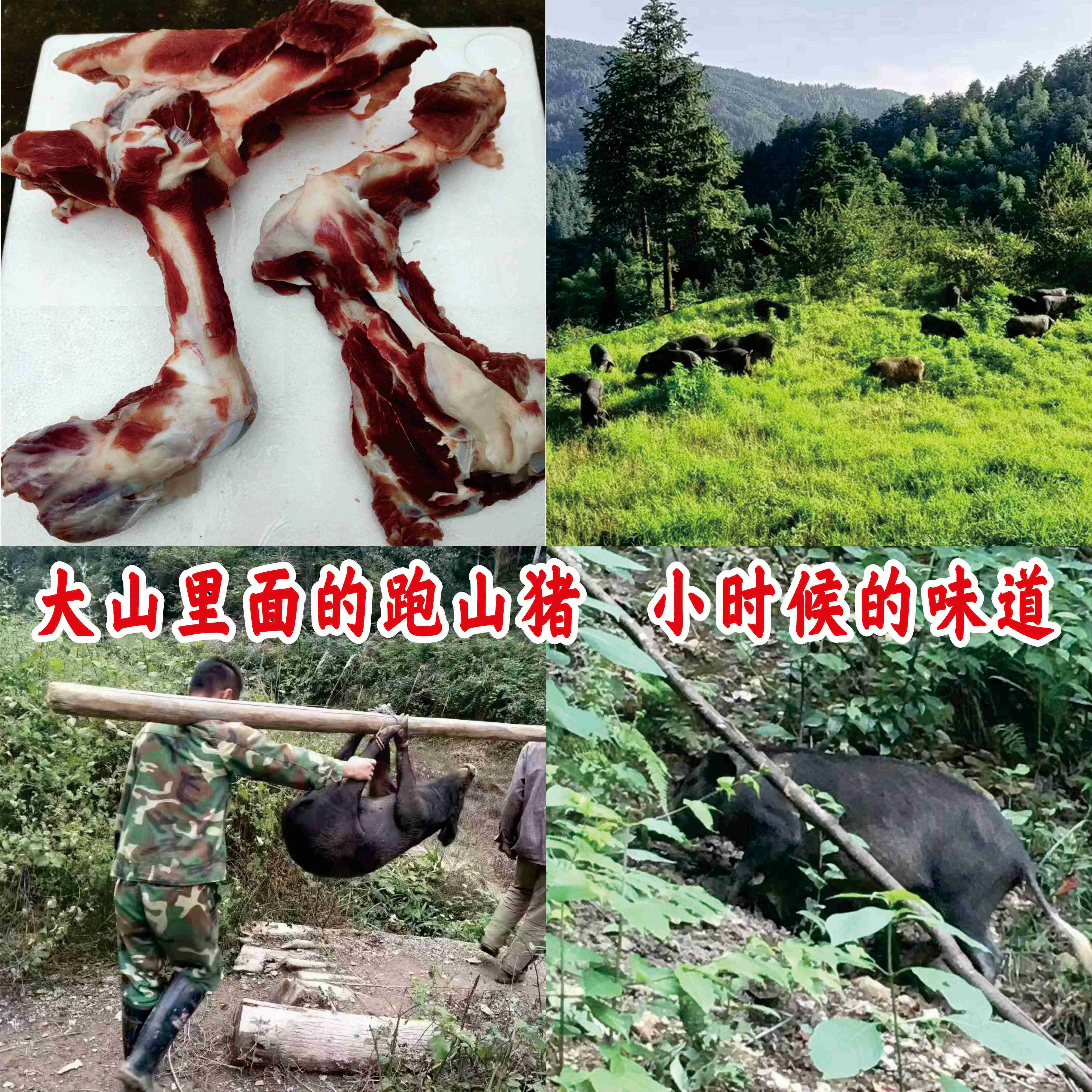 跑山黑猪，童子骨 ，1份2斤