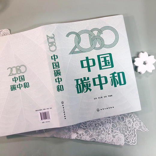 2060中国碳中和 商品图6