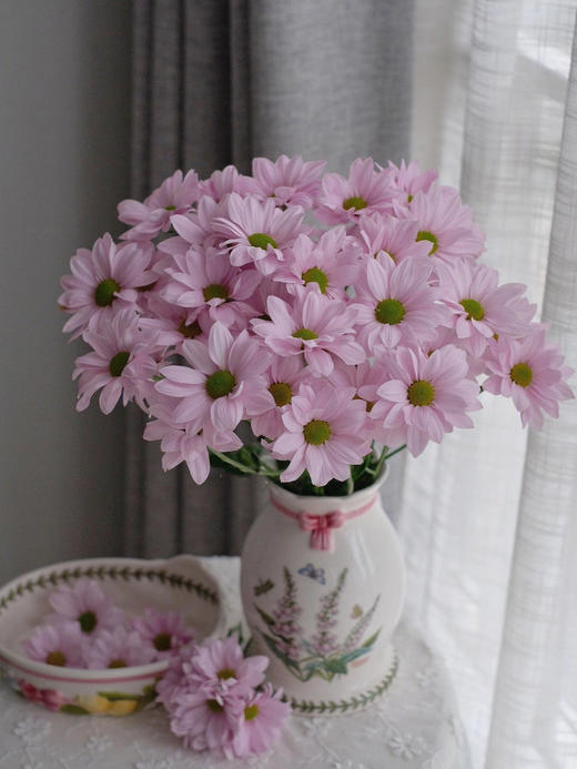 小雏菊合辑【沿着星河轨道，踏遍人间春秋】简小姐精选小雏菊 2件包邮 下单5天发货 商品图0