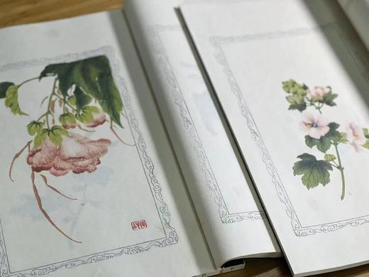 《百花诗笺谱》，张兆祥等绘，线装，一函二册，22*33cm，全彩精印，西泠印社2014年一版一印。定价750，售价299元 商品图9