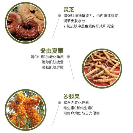 悦木之源10倍灵芝水菌菇水爽肤水30ml/50ml /100ml油痘肌控油中样湿敷修复去闭口 商品图2