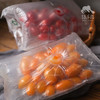 生态圣女果 | 合作生产* Eco-cherry tomato ｜Coproducted 商品缩略图9