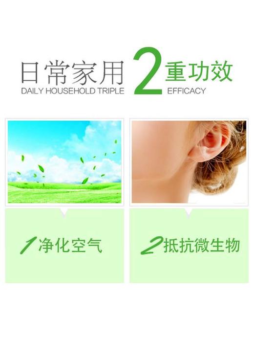 MOTA慕她 迷迭香精油单方精油 10ml/瓶*1 商品图2