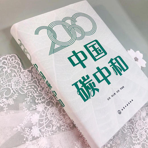 2060中国碳中和 商品图4