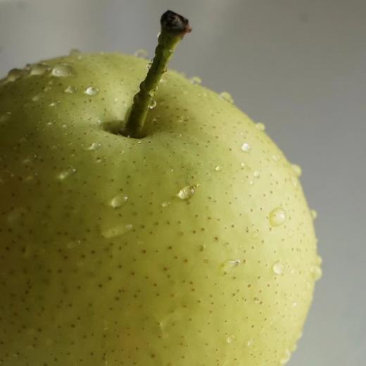 【33年老树 自然清甜】自然动力法种植的皇冠梨 / 酥梨 超限定 新农人系列 商品图0