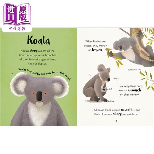 【中商原版】The Bedtime Book of Animals DK动物睡前怎么样 英文原版儿童绘本 科普读物 7到12岁 DK Publishing 商品图2