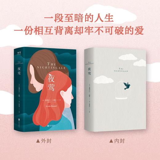(仓发) 夜莺书籍 提名国际都柏林文学奖 关于爱与战争外国文学小说畅销书籍/北京联合出版公司/[美]克莉丝汀·汉娜/9787559654168 商品图4