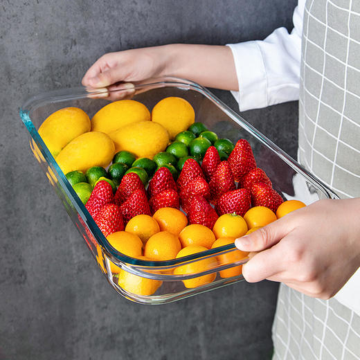 【笑麻麻荟&菲内克斯】钢化玻璃长方形烤鱼盘微波炉烤箱蒸鱼盘透明餐盘家用商用装鱼盘子A 商品图0