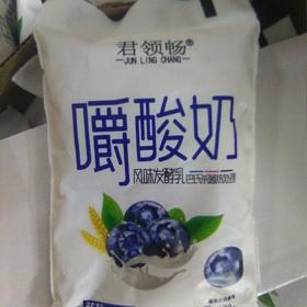 军领畅嚼酸奶袋装170g 蓝莓+燕麦