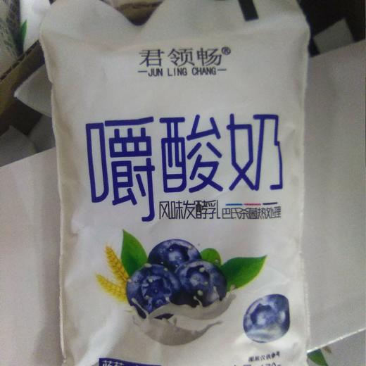 军领畅嚼酸奶袋装170g 蓝莓+燕麦 商品图0