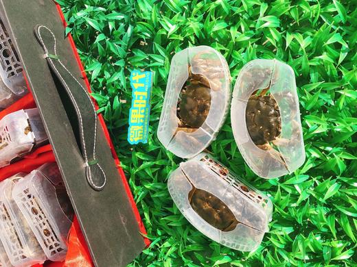 精品红箱盘锦河蟹礼盒（拼团） 商品图2