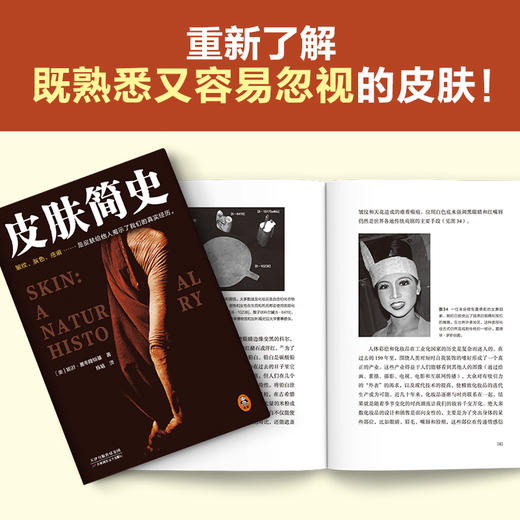皮肤简史 商品图5
