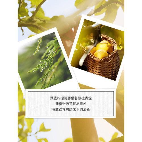 Maison Margiela/马丁马吉拉全香水30-100ml UNDER-THE-LEMON-TREES柠檬树 商品图3