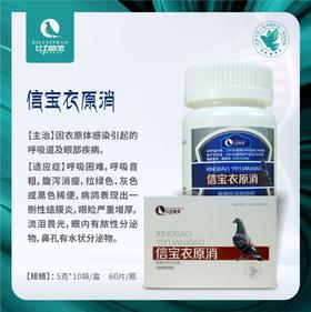 【信宝衣原消】眼睛红肿紫胸，黑舌尖，不爱飞（比力信宝）