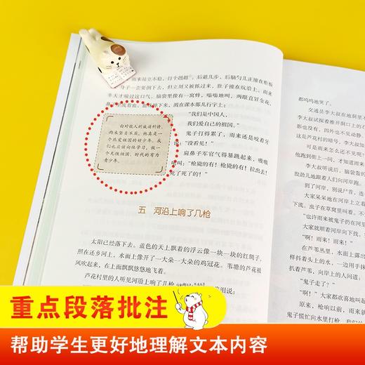 (仓发) 小英雄雨来 快乐读书吧六年级上推荐课外阅读书 小学语文教材配套课外阅读书目 有声朗读版 商务印书馆/商务印书馆/管桦/9787100184953 商品图6