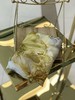 优品堂《笔精墨妙》100%重磅桑蚕丝90*180披肩围巾两用 商品缩略图2