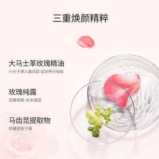 艾玛丝/吉普赛玫瑰素颜菁华面膜27克X5片 商品图4