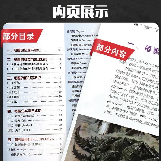 龟鳖分类图鉴【 中国农业出版社官方正版】 商品图3