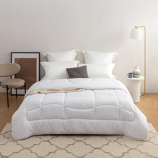 LOVO甄·悦 暖姜黑科技丝柔抗菌春秋被   VQS2021-1 商品图1