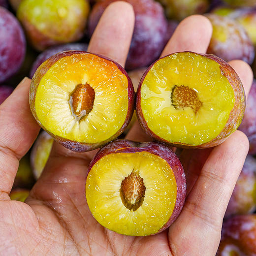 【四川脆红李】 脱骨李 脆甜多汁 肉质脆爽 现摘现发 商品图0