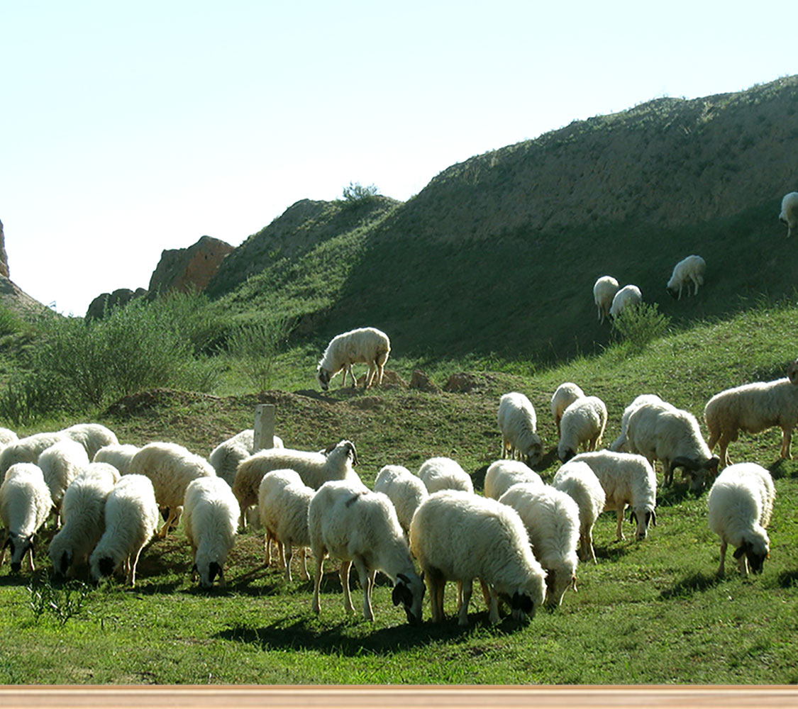 中吕 山坡羊图片