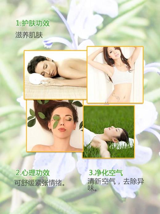 MOTA慕她 迷迭香精油单方精油 10ml/瓶*1 商品图3