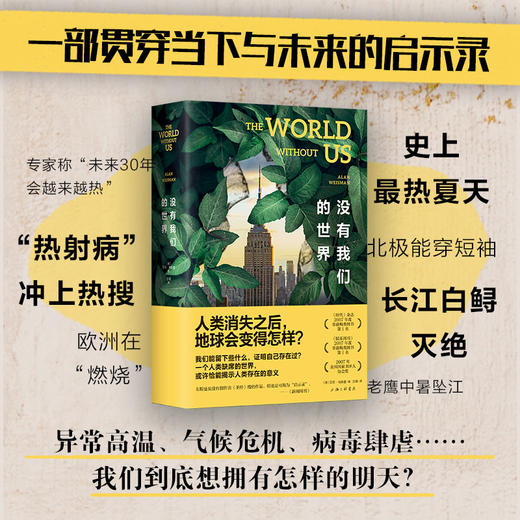 没有我们的世界 商品图1