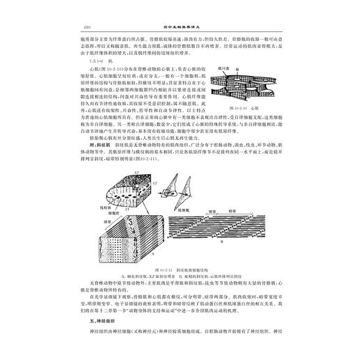 高中生物奥赛讲义系列 商品图2