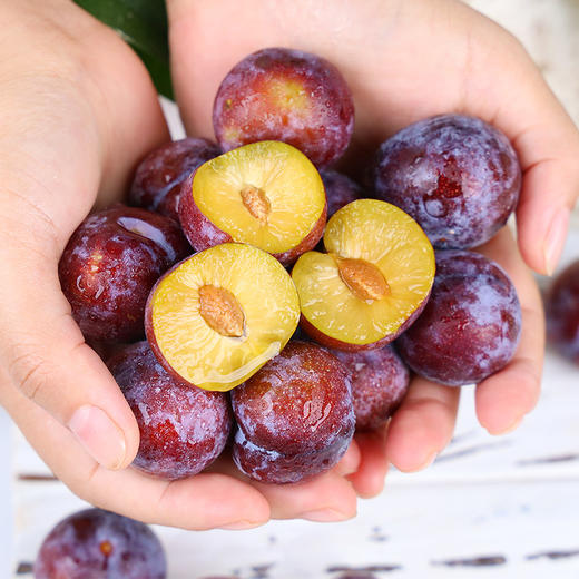 【四川脆红李】 脱骨李 脆甜多汁 肉质脆爽 现摘现发 商品图3