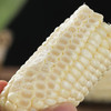 天然高叶酸玉米 原生态种植甜糯玉米 8根装（单根220g起） 商品缩略图5