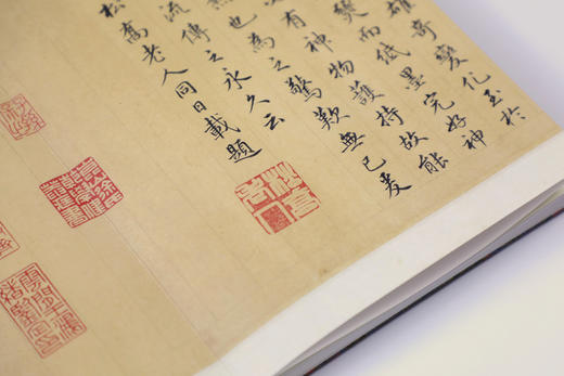 八折特惠！中国书法名迹丛刊  唐 颜真卿《祭侄文稿》 揽古堂编  西泠印社出版社 商品图6